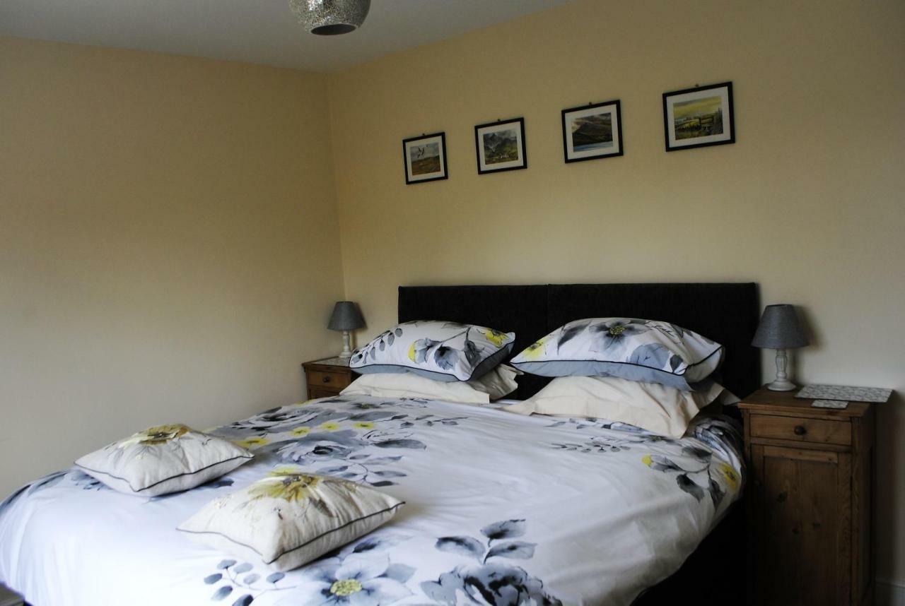 Bed and Breakfast Bro Dafydd Aberystwyth Exterior foto