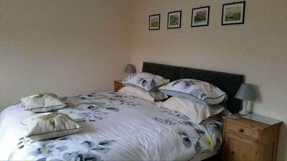Bed and Breakfast Bro Dafydd Aberystwyth Exterior foto